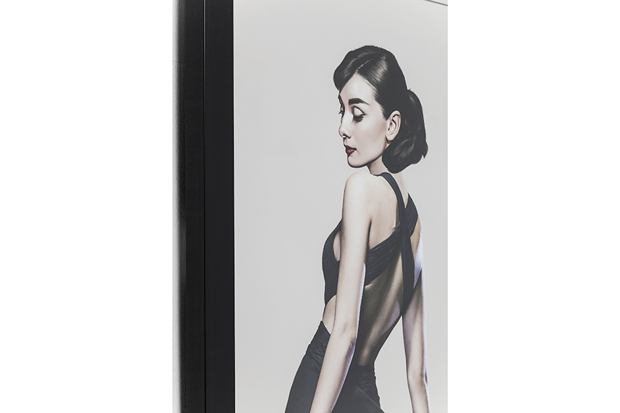 ディーバ172x100cm フレームピクチャー