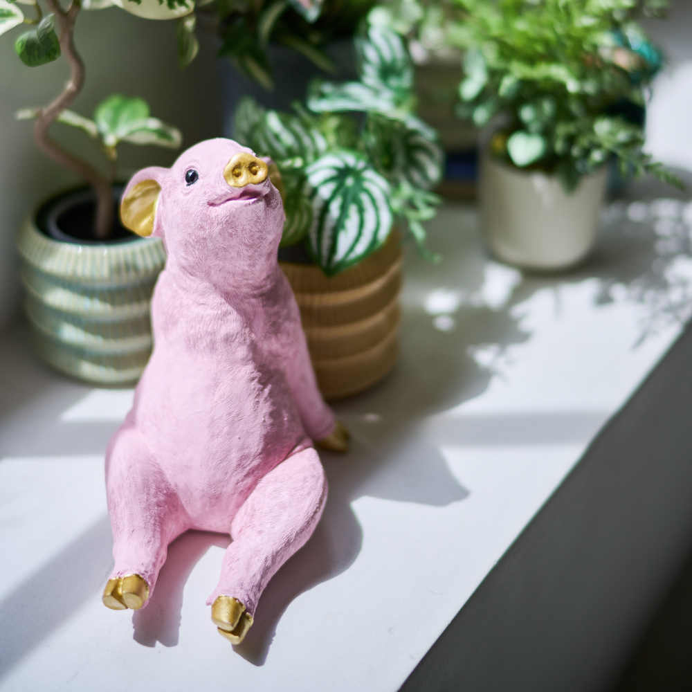 チラックス　ピッグマネーボックス